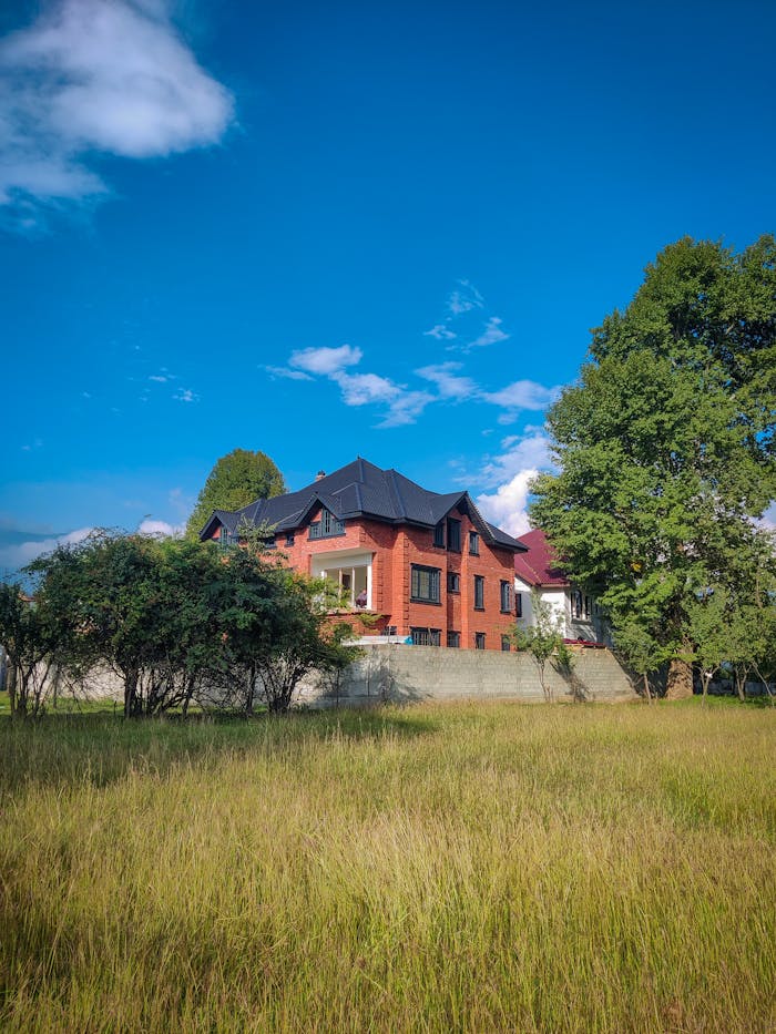 Red brick house behind trees under clear blue sky, surrounded by nature